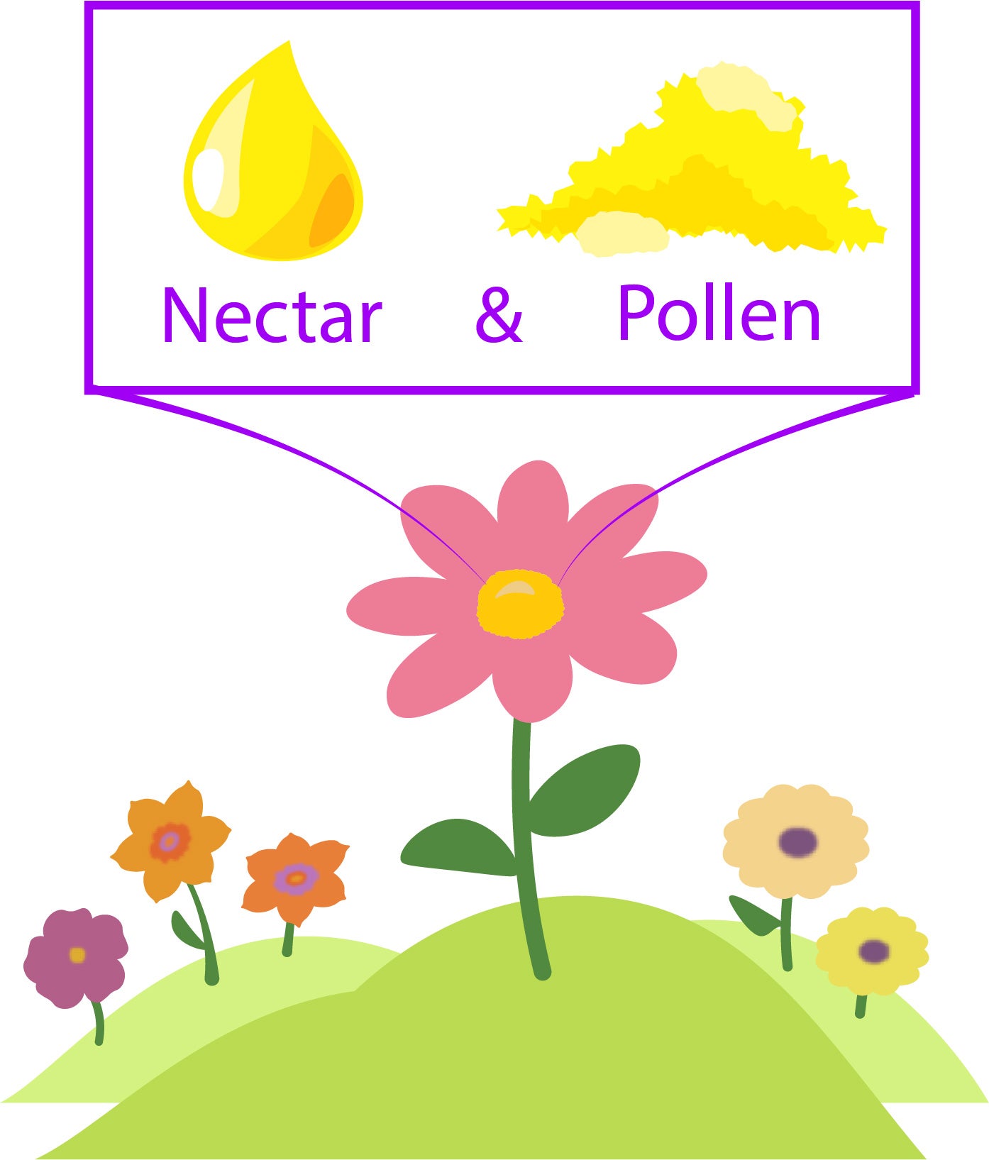 flower, nectar, pollen