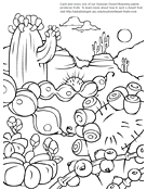 Desert Fruits