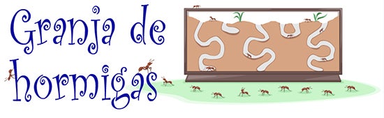 Granja y colonias de hormigas