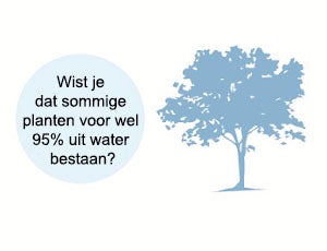 water tree