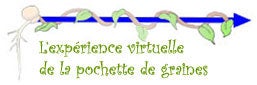 virtual seed experiment link