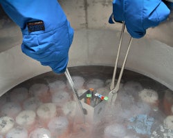 tissue is being stored in liquid nitrogen