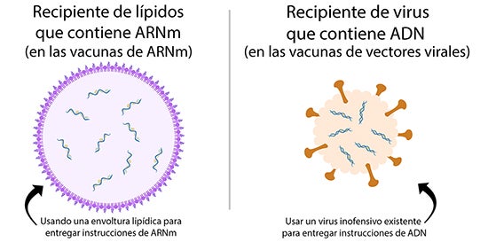 mRNA vaccine versus viral vector vaccine