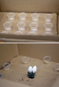 box with cups