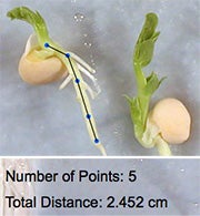 Number of Points Number of Points