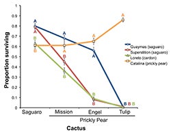 Graph showing fruit fly larvae survival on different types of cactus