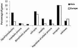 Graph of positive selection of Asian and European bacterial genes
