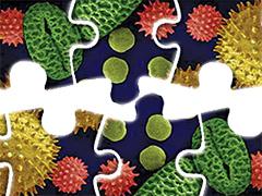 some puzzle pieces with pollen cells