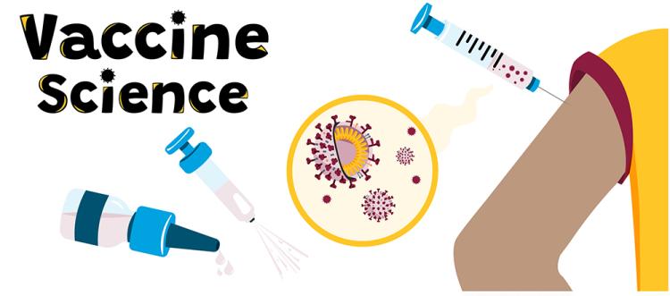 An illustration reading "Vaccine science" that shows three different delivery systems for vaccines: oral dropper, nasal spray, and syringe.