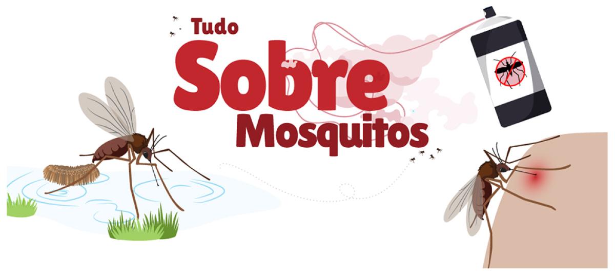 Tudo sobre mosquitos