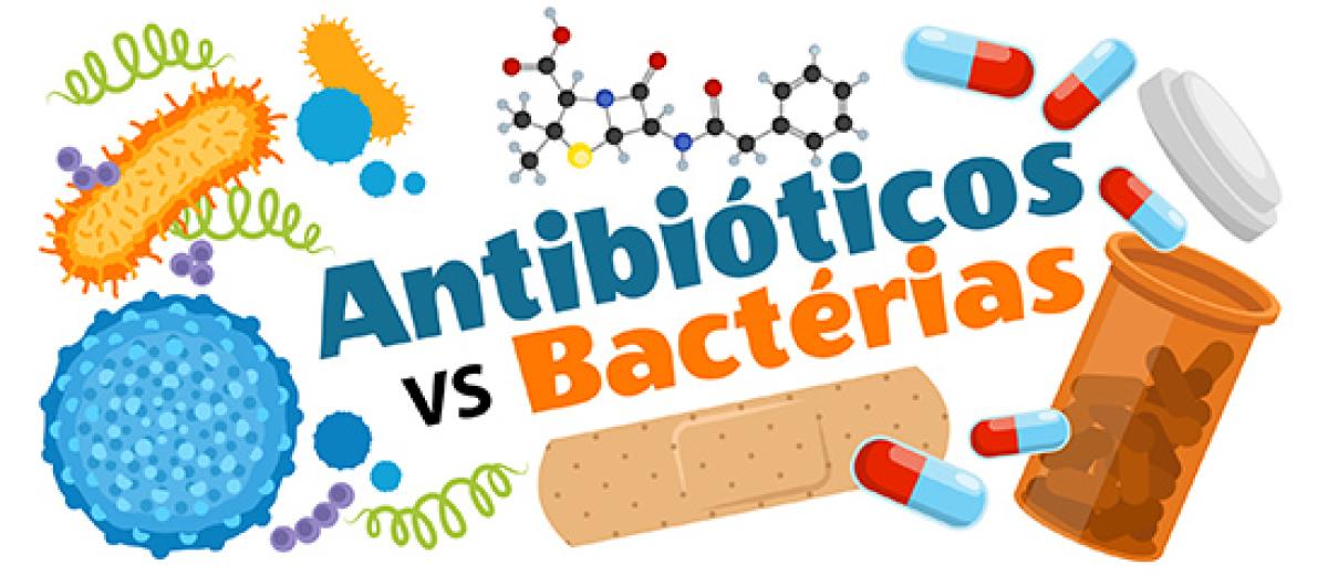 Antibióticos vs Bactérias: Uma Batalha Evolutiva