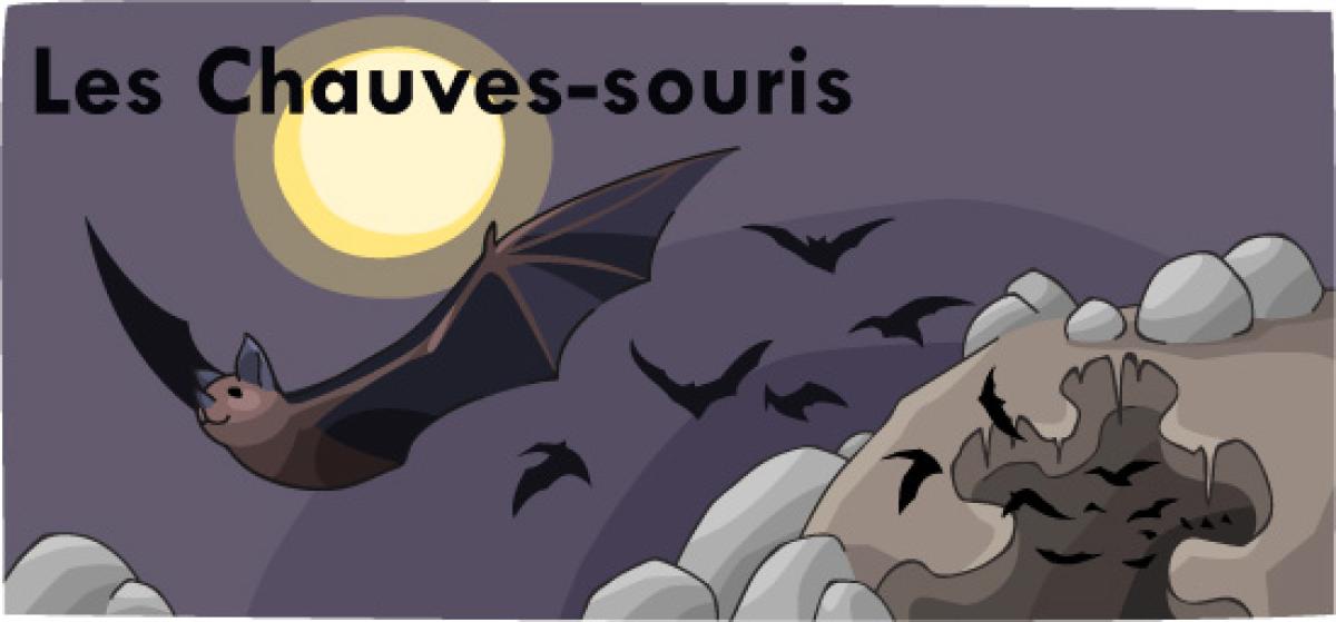 header for Les Chaves-souris