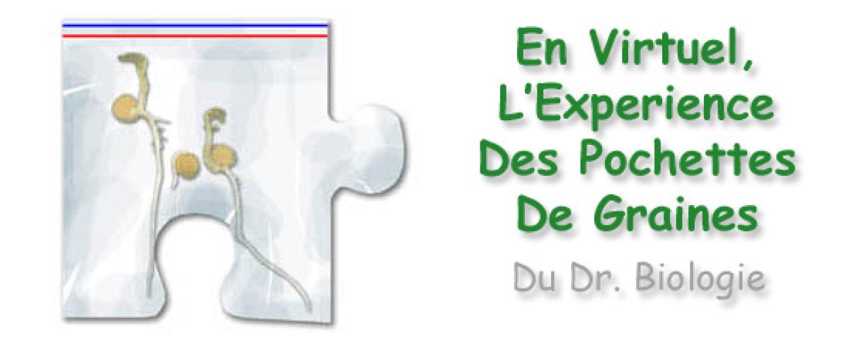 Header image for Virtual Experience