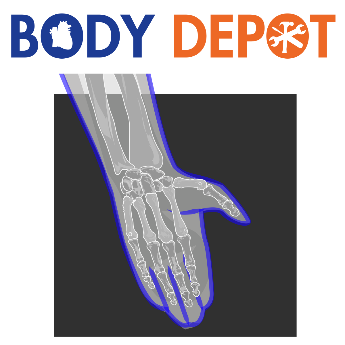 X-ray hand