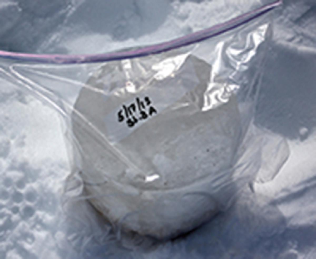 Ice core sample