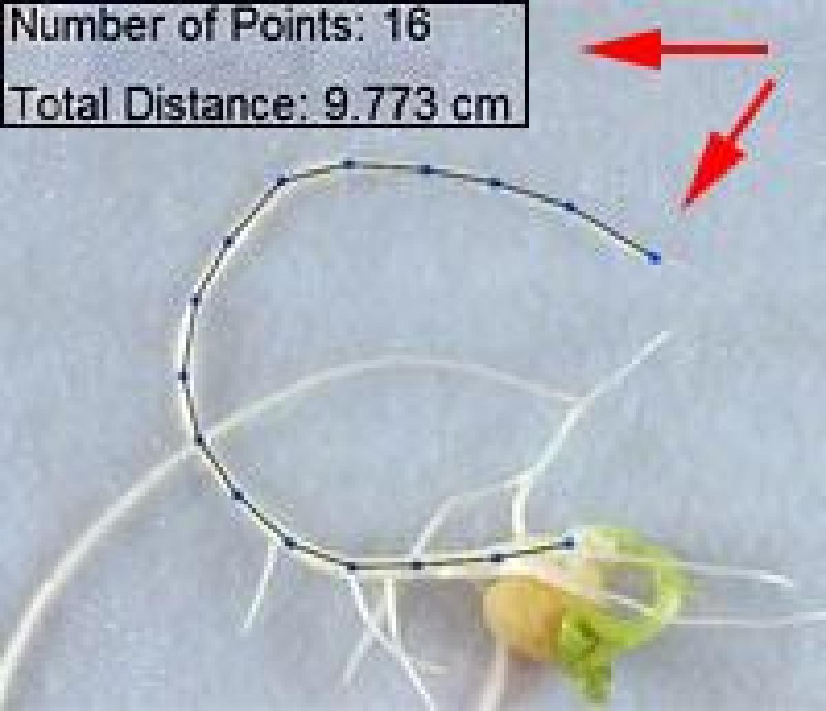 measuring_tool_200_4.jpg