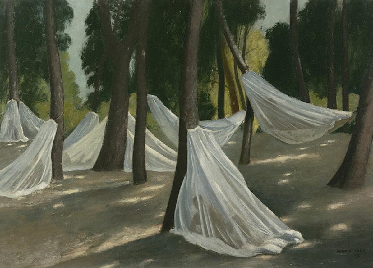 uma pintura de mosquiteiros